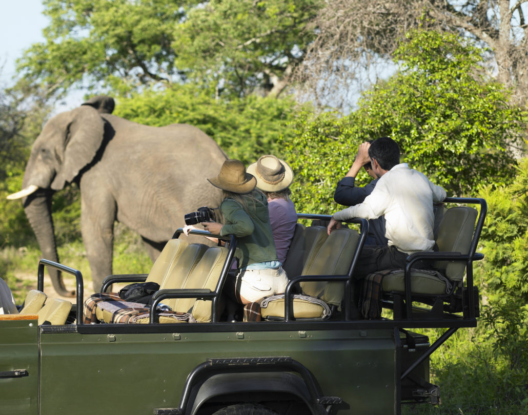 Family on Safari watching Elephant