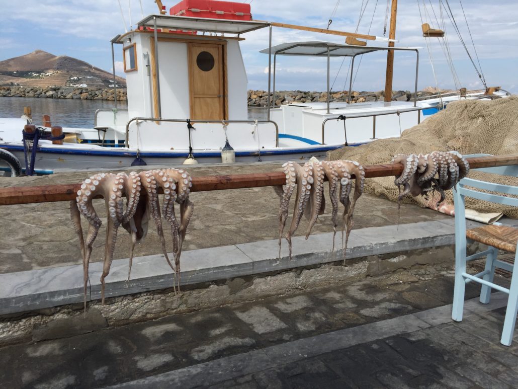 Octopus drying in Naousa in Paros, Greece