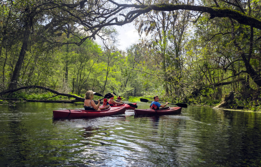 Family kayaking on the river