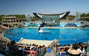 Sea World San Diego Aquarium and Marine Zoological Park