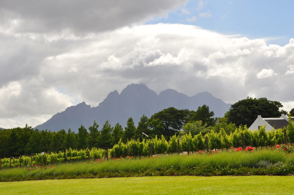 Winelands Cape Town, South Africa
