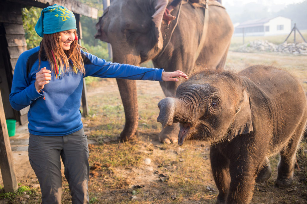 Petting elephant on tour