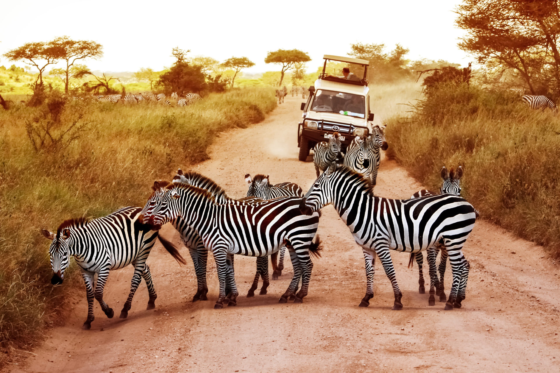 travel to africa