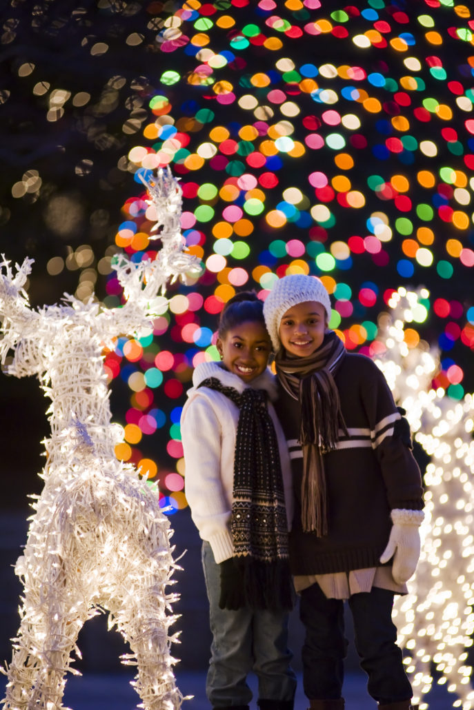 Holiday fun among the lights at Richmond's James Center