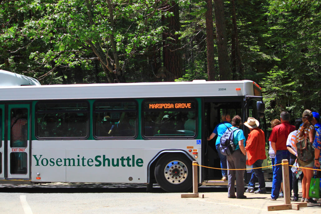 Park shuttle bus