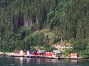 4 Village on side of fjord