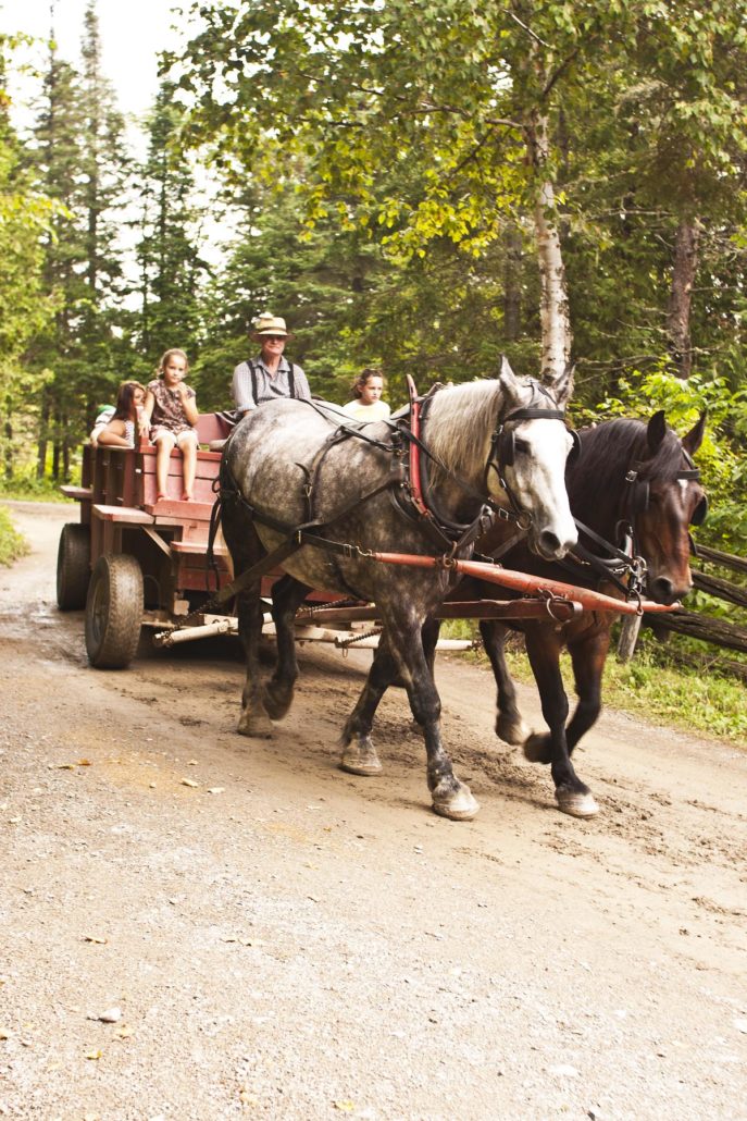 6696 Horse and wagon bus, King's Landing, New Brunswick
