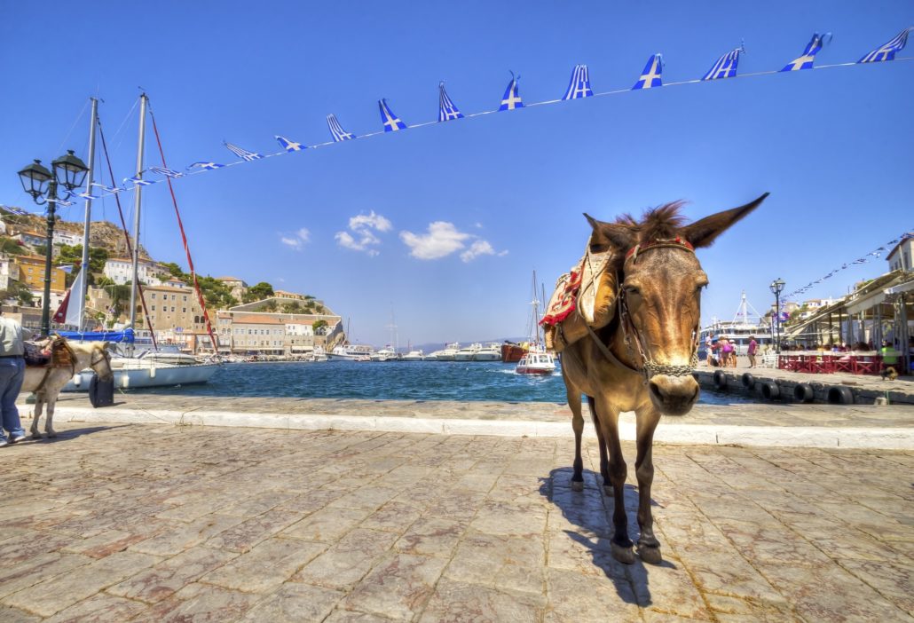 Donkey on Greek Island