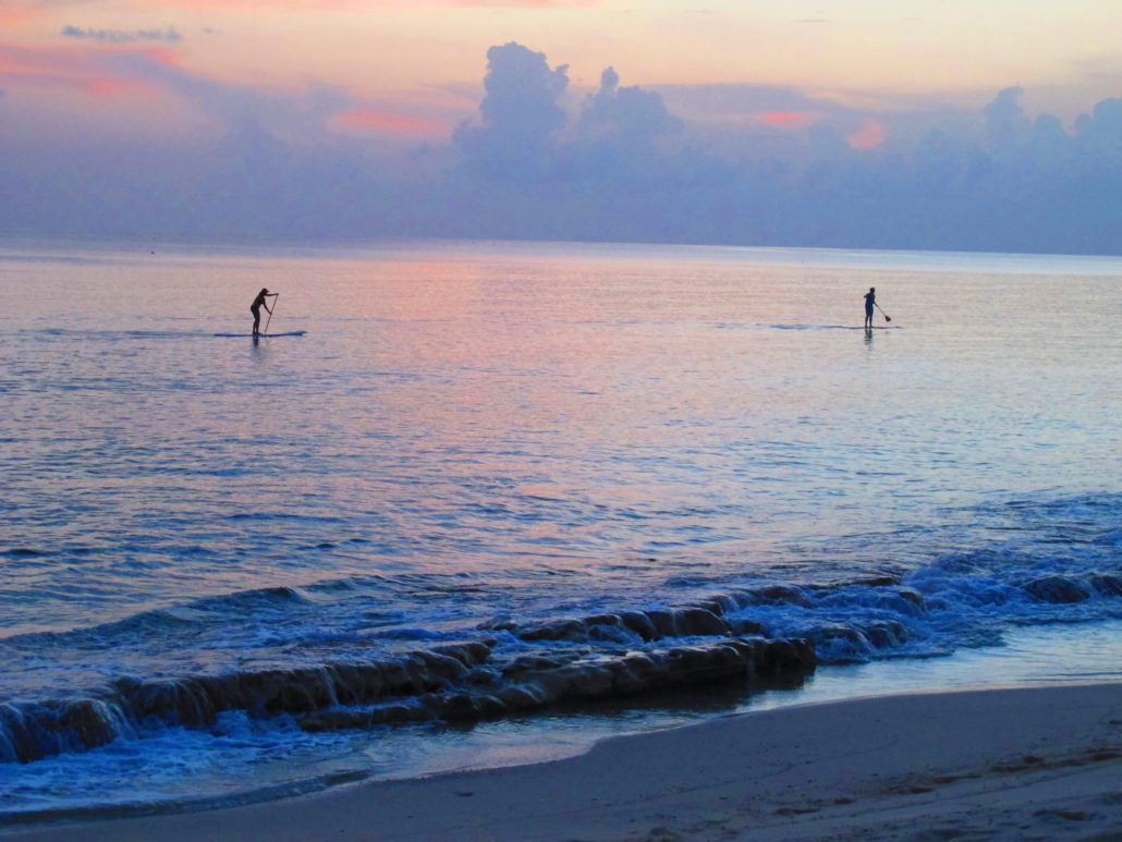 Paddle Boards in Grand Cayman Island