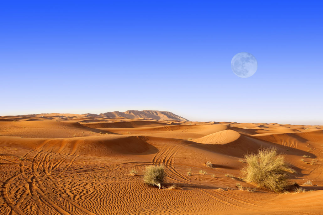 Dubai Sand Dunes