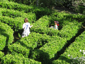 The maze at the Alcazar Gardens, Seville, Spain