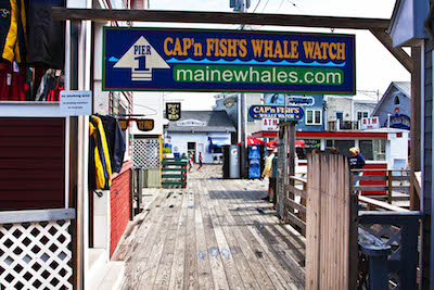 Wharf, Boothbay Harbor, Maine