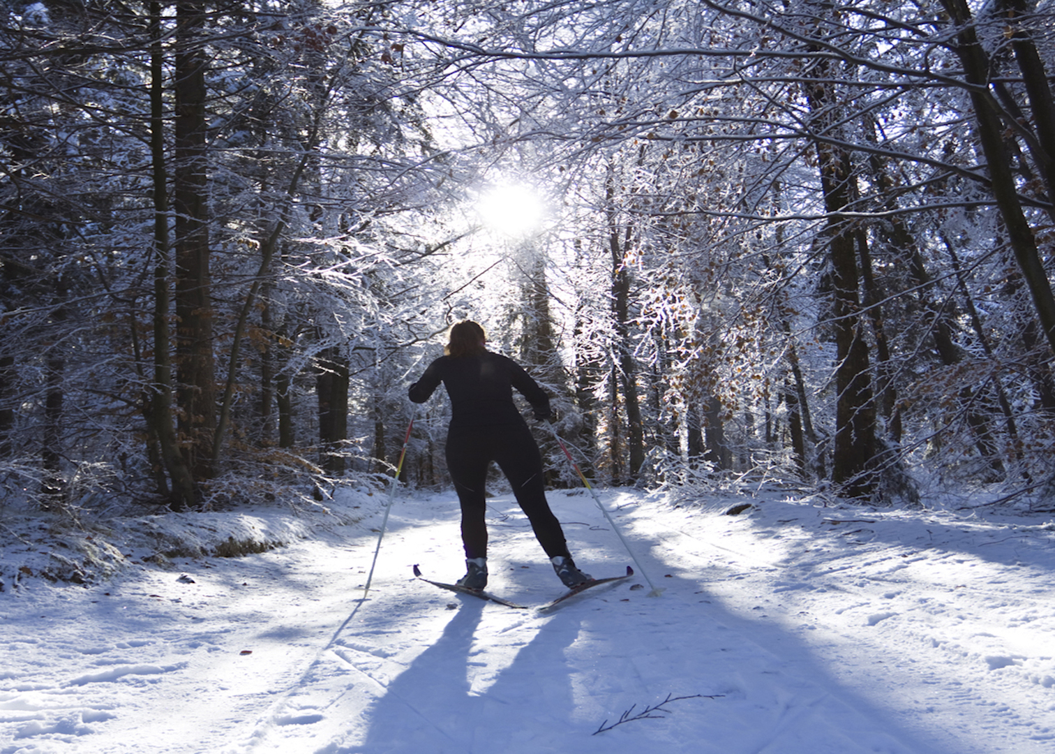Лыжник в лесу. На лыжах в лесу. Прогулка на лыжах в лесу. Зимой в лесу на лыжах.