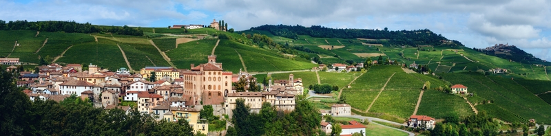 Panorama of Barolo (Piedmont, Italy)