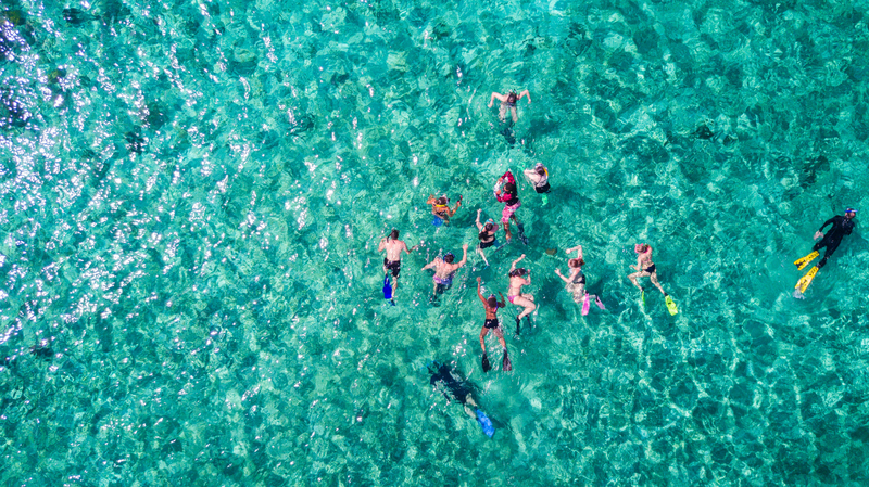Group snorkeling in tropical blue waters of Barbados. 
