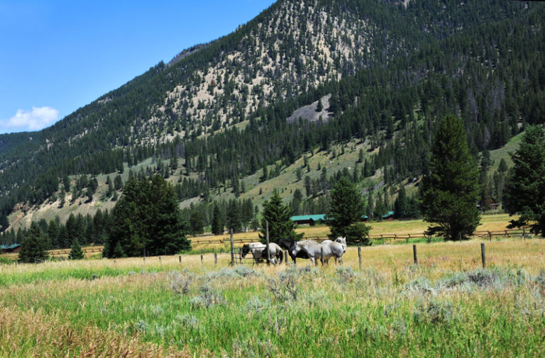 Dude Ranch Vacations For Families - Wherever Family